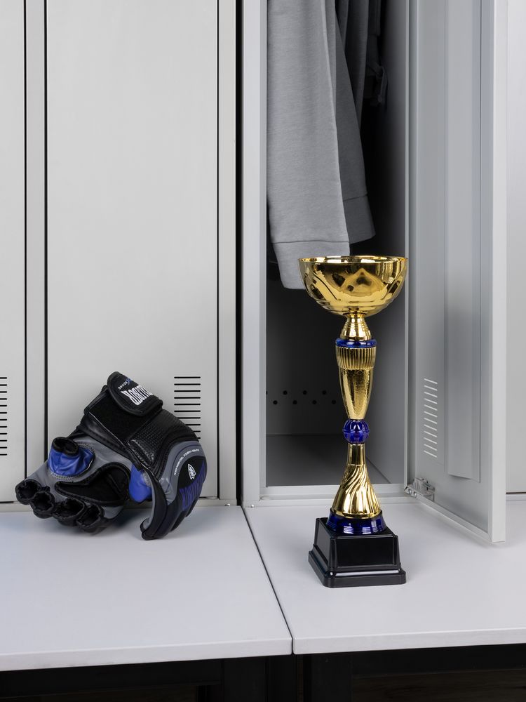 Кубок Awardee, средний, синий фото 5
